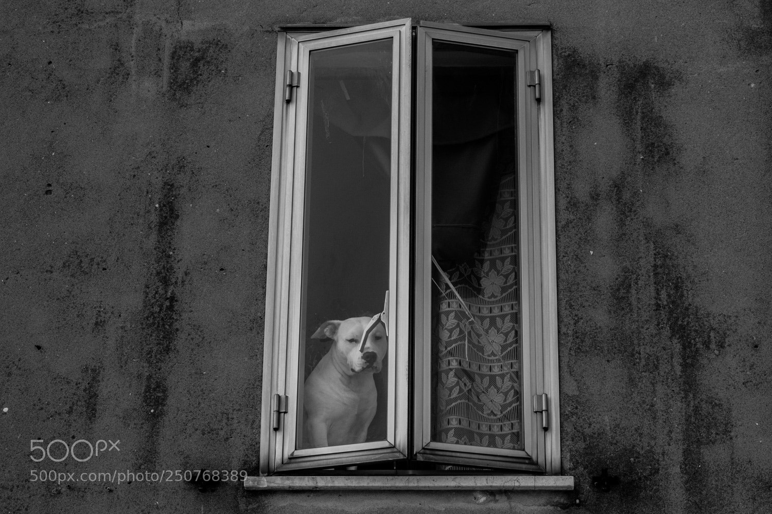 Nikon D5500 sample photo. Sguardo dalla finestra... photography