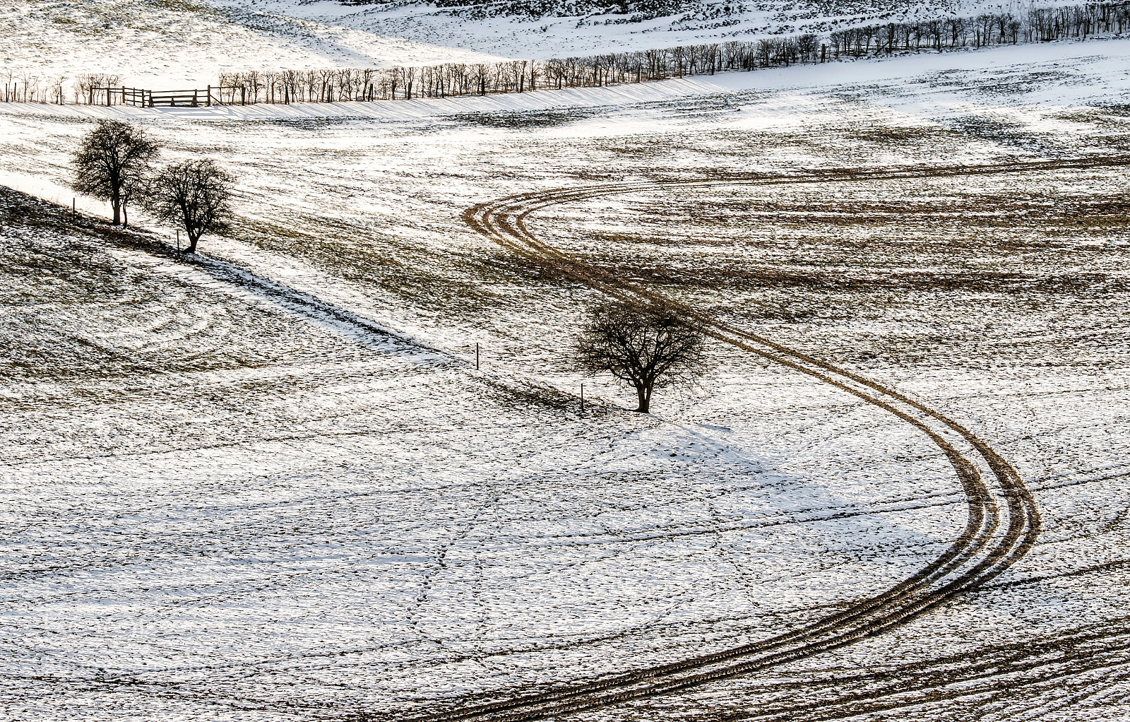Canon EOS 7D Mark II sample photo. A dusting of snow. photography