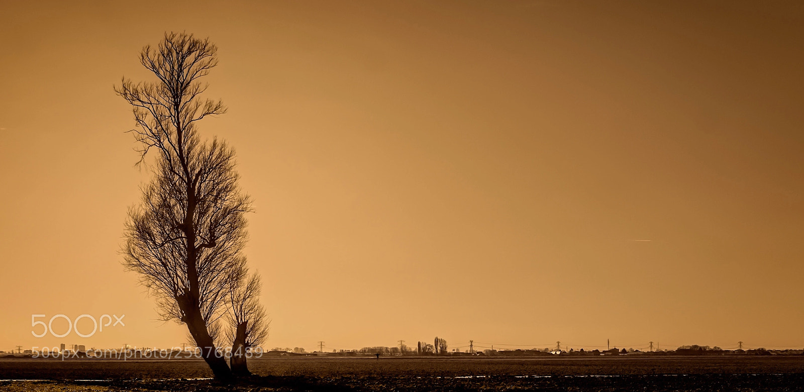 Nikon D7100 sample photo. Lonely tree photography