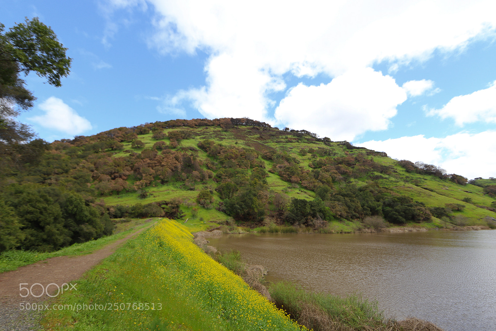 Canon EOS 6D Mark II sample photo. Lake marie photography