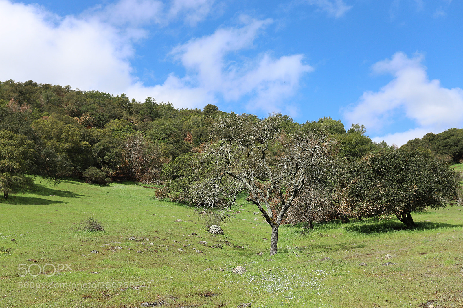 Canon EOS 6D Mark II sample photo. Skyline photography