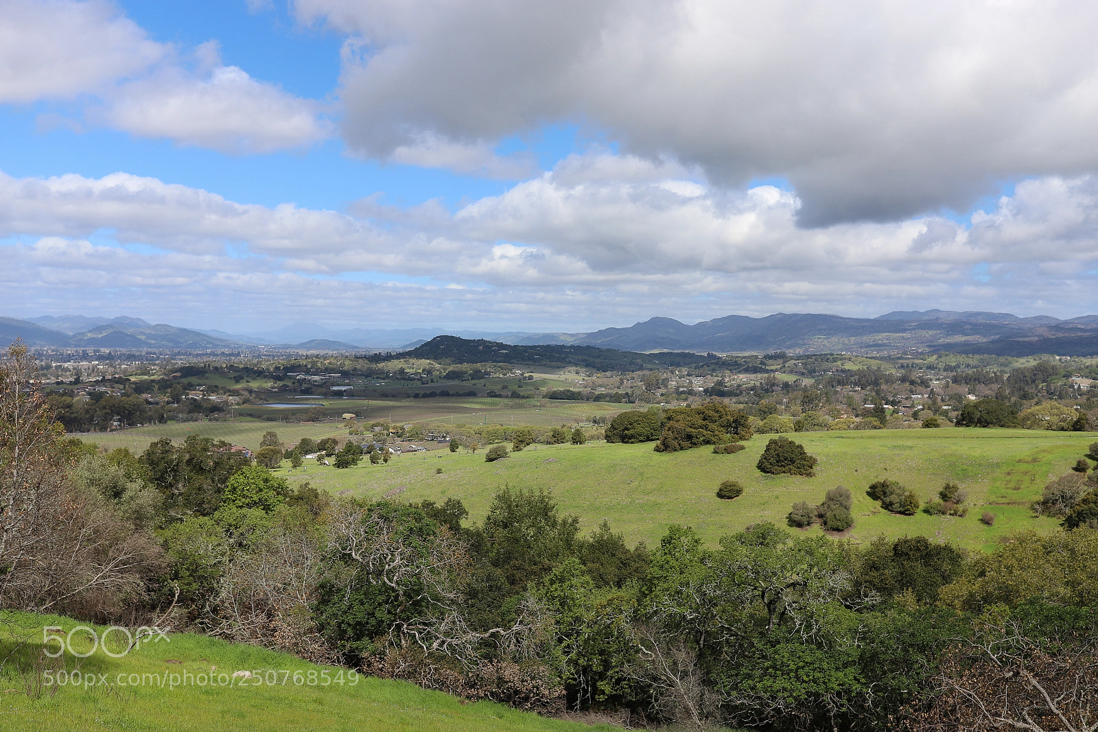 Canon EOS 6D Mark II sample photo. Napa valley photography