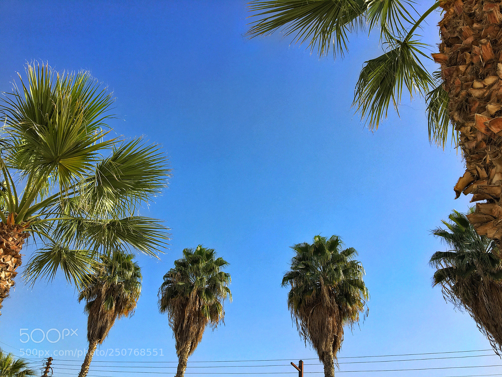 Apple iPhone 6s sample photo. Untitled photography
