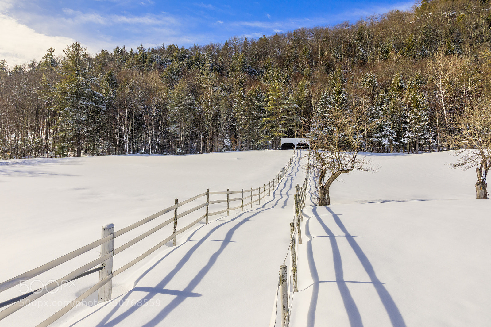 Canon EOS 5D Mark IV sample photo. Nh-jackson photography