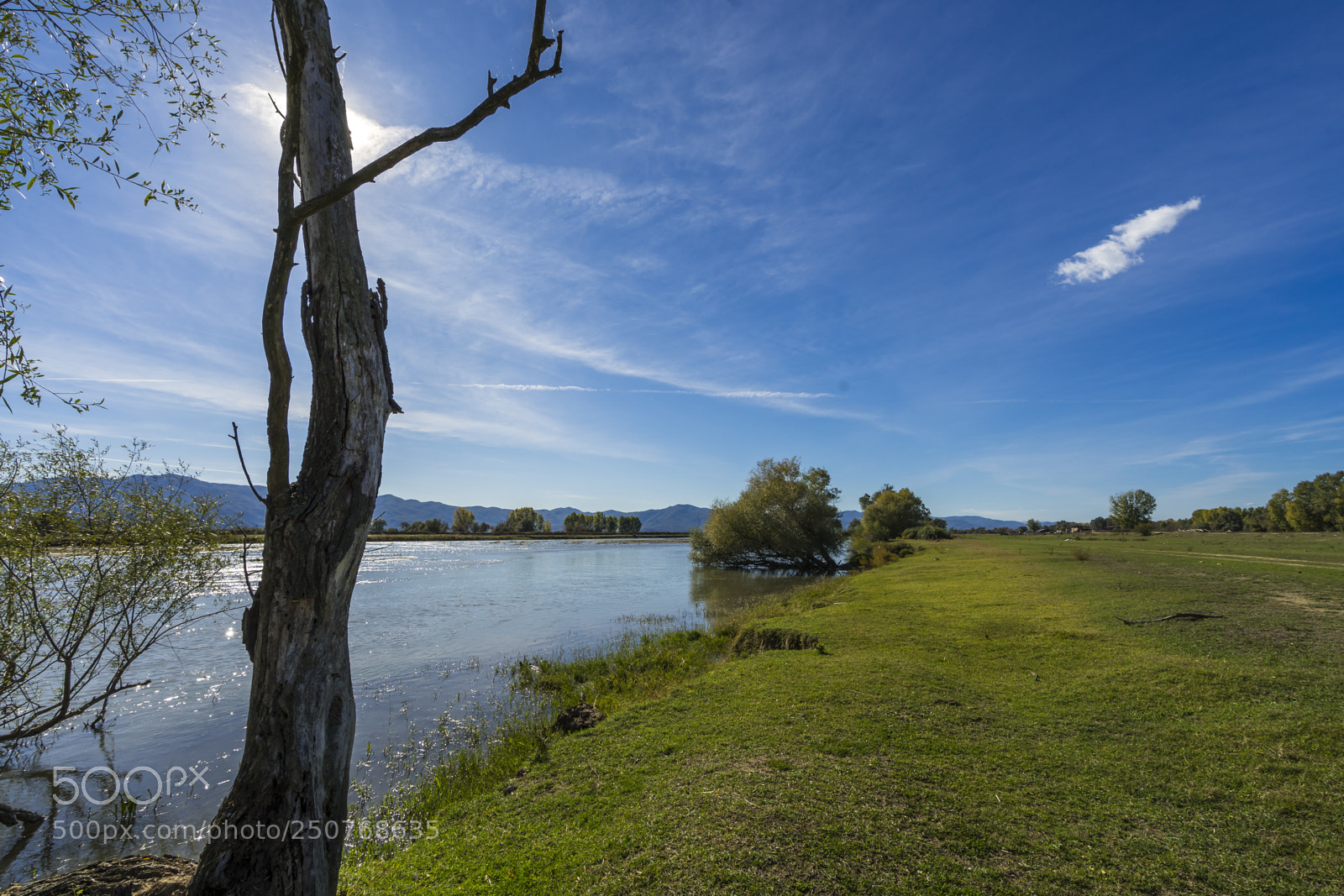 Sony a7 II sample photo. Kerkini lake photography