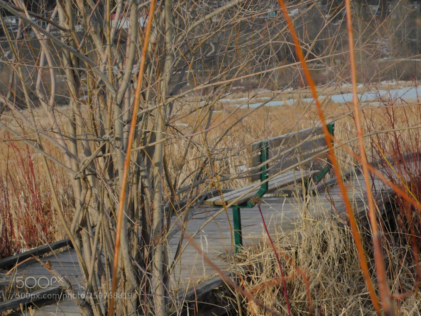 Nikon Coolpix B500 sample photo. Untitled photography