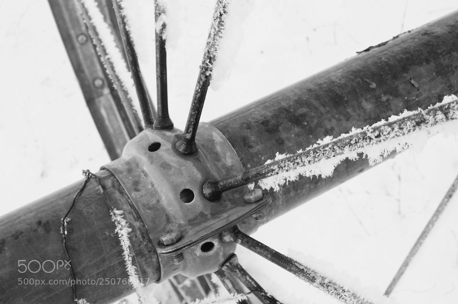 Nikon D50 sample photo. Nature/industrial photography