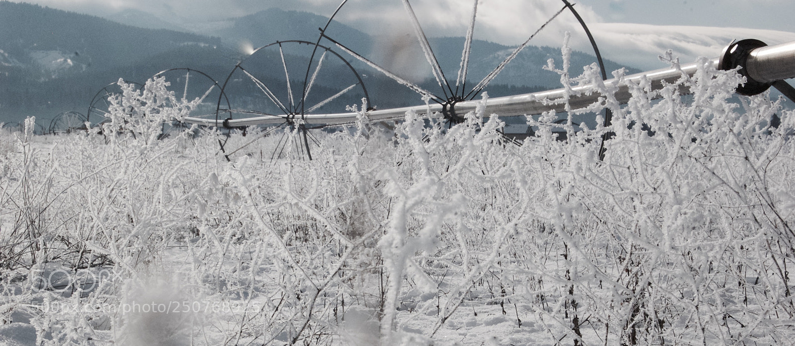 Nikon D50 sample photo. Nature/industrial photography