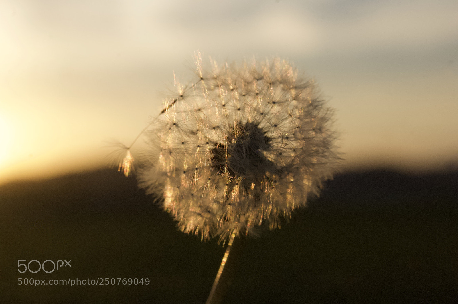 Nikon D50 sample photo. Nature/industrial photography