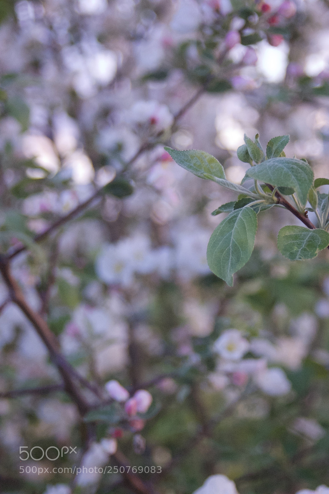 Nikon D50 sample photo. Nature/industrial photography