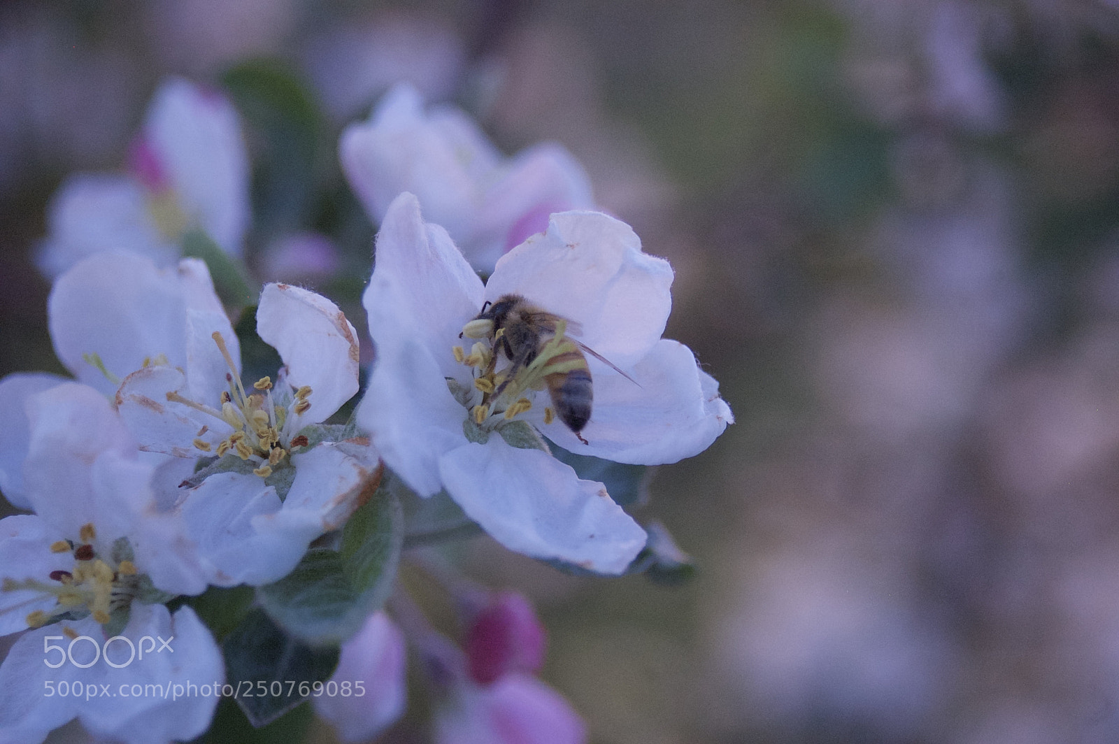 Nikon D50 sample photo. Nature/industrial photography