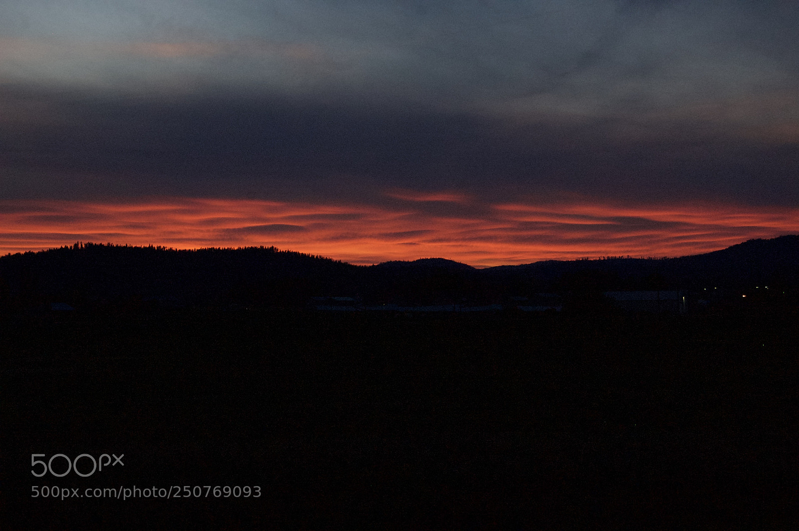 Nikon D50 sample photo. Nature/industrial photography