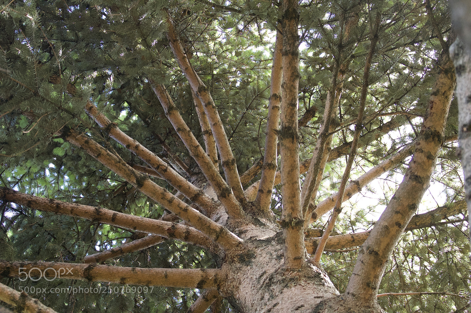 Nikon D50 sample photo. Nature/industrial photography
