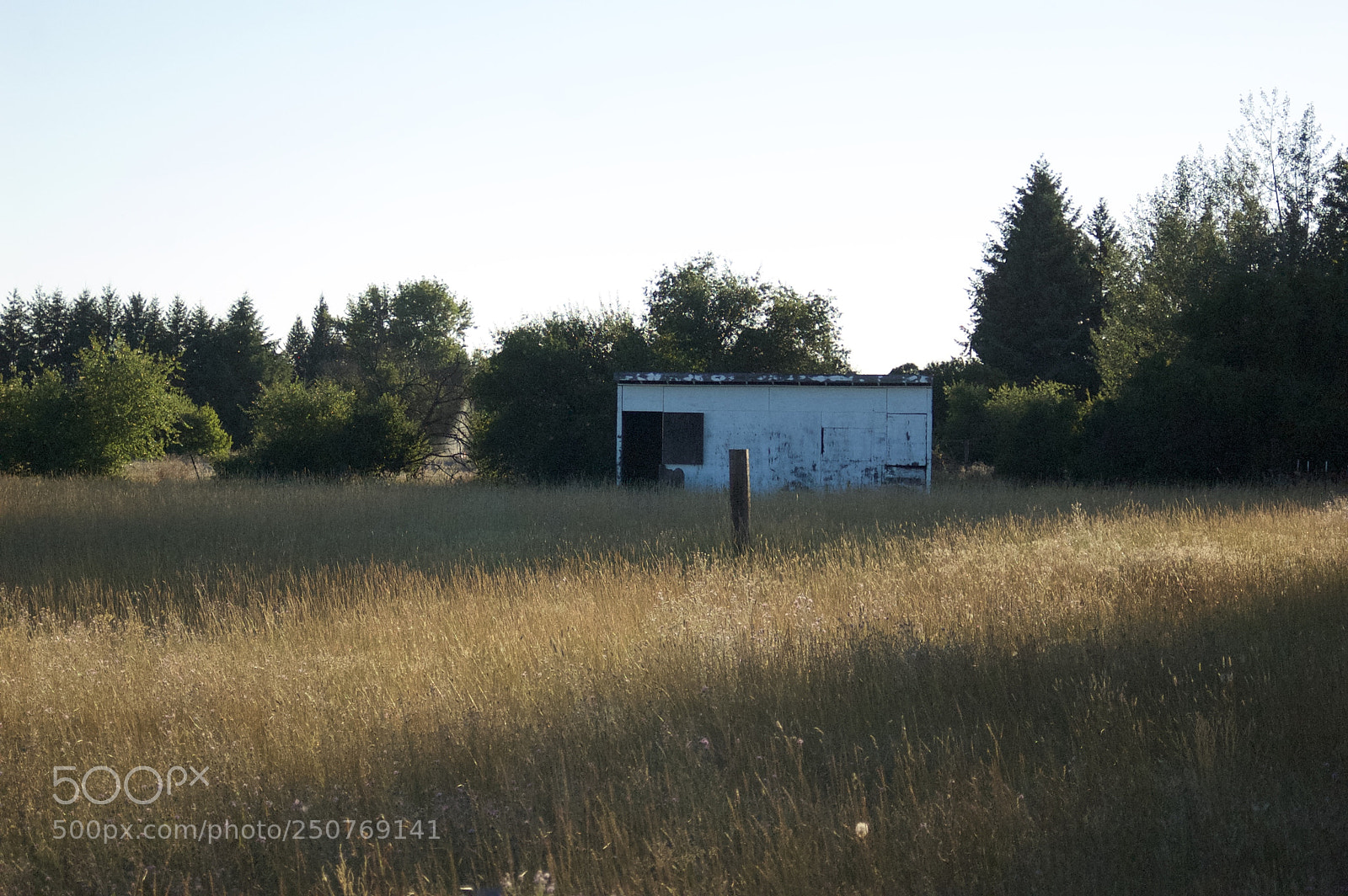 Nikon D50 sample photo. Nature/industrial photography