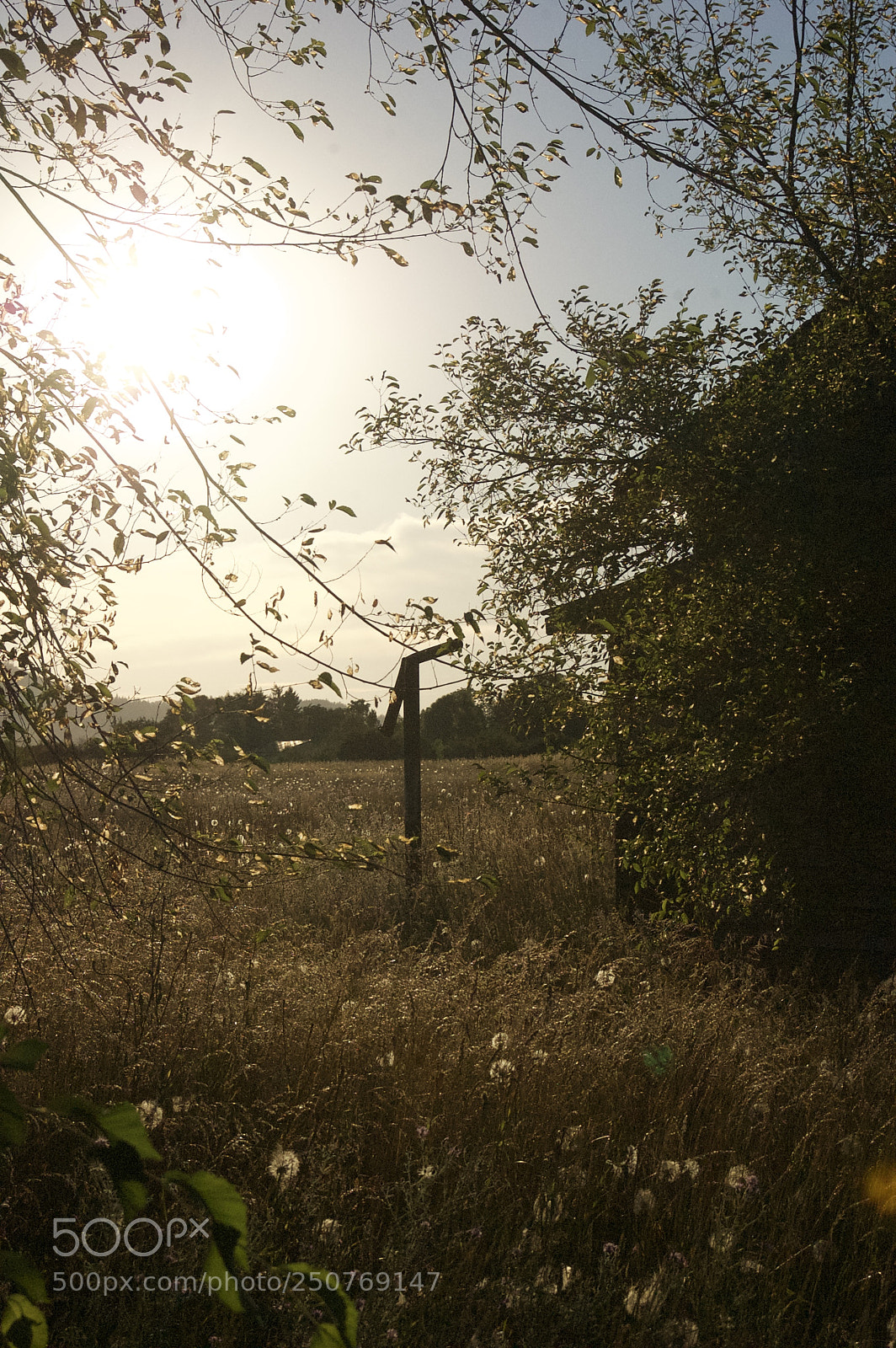 Nikon D50 sample photo. Nature/industrial photography