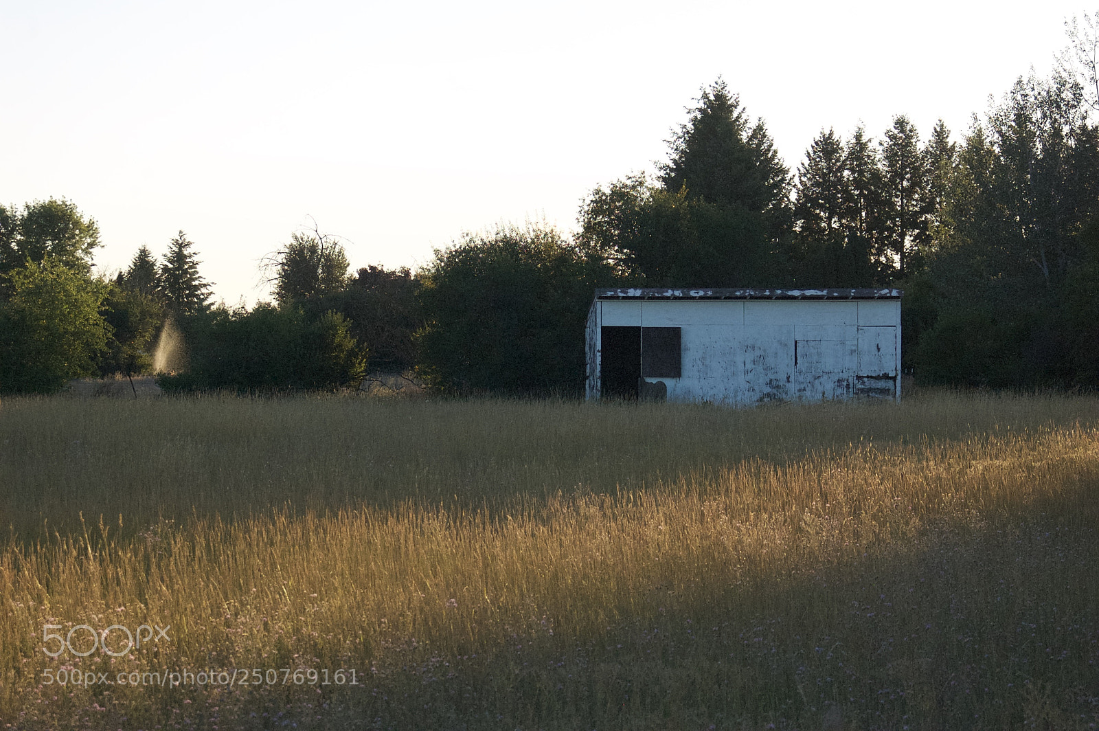 Nikon D50 sample photo. Nature/industrial photography