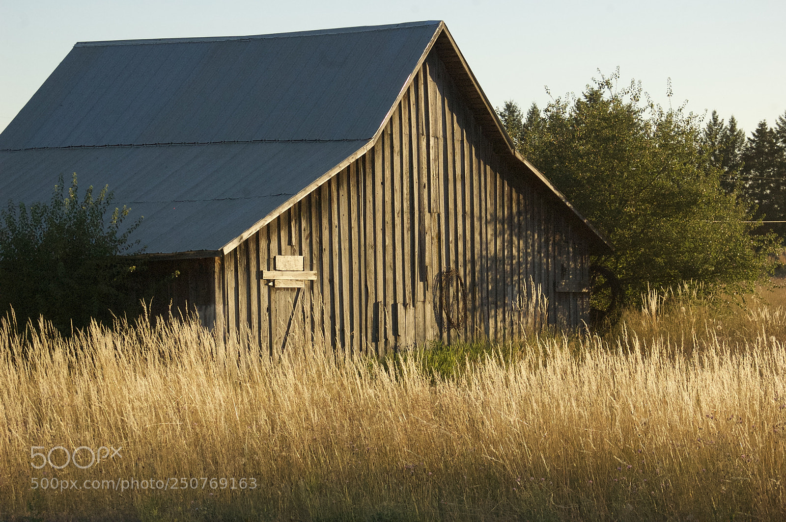 Nikon D50 sample photo. Nature/industrial photography