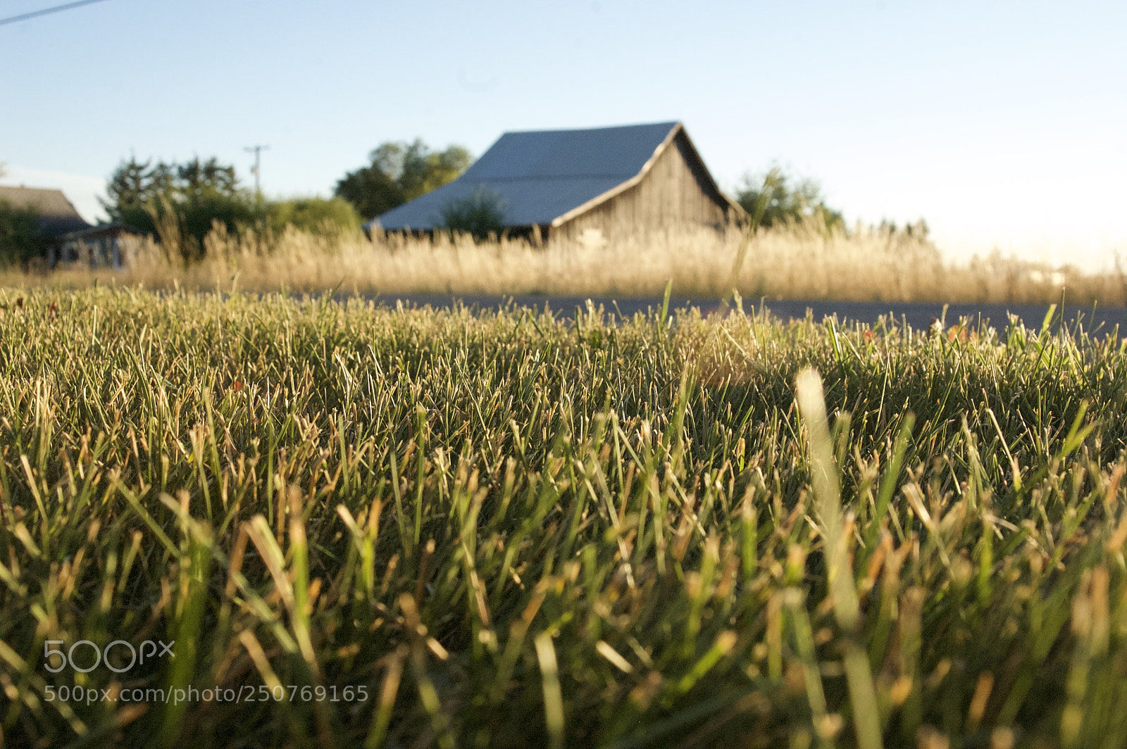 Nikon D50 sample photo. Nature/industrial photography