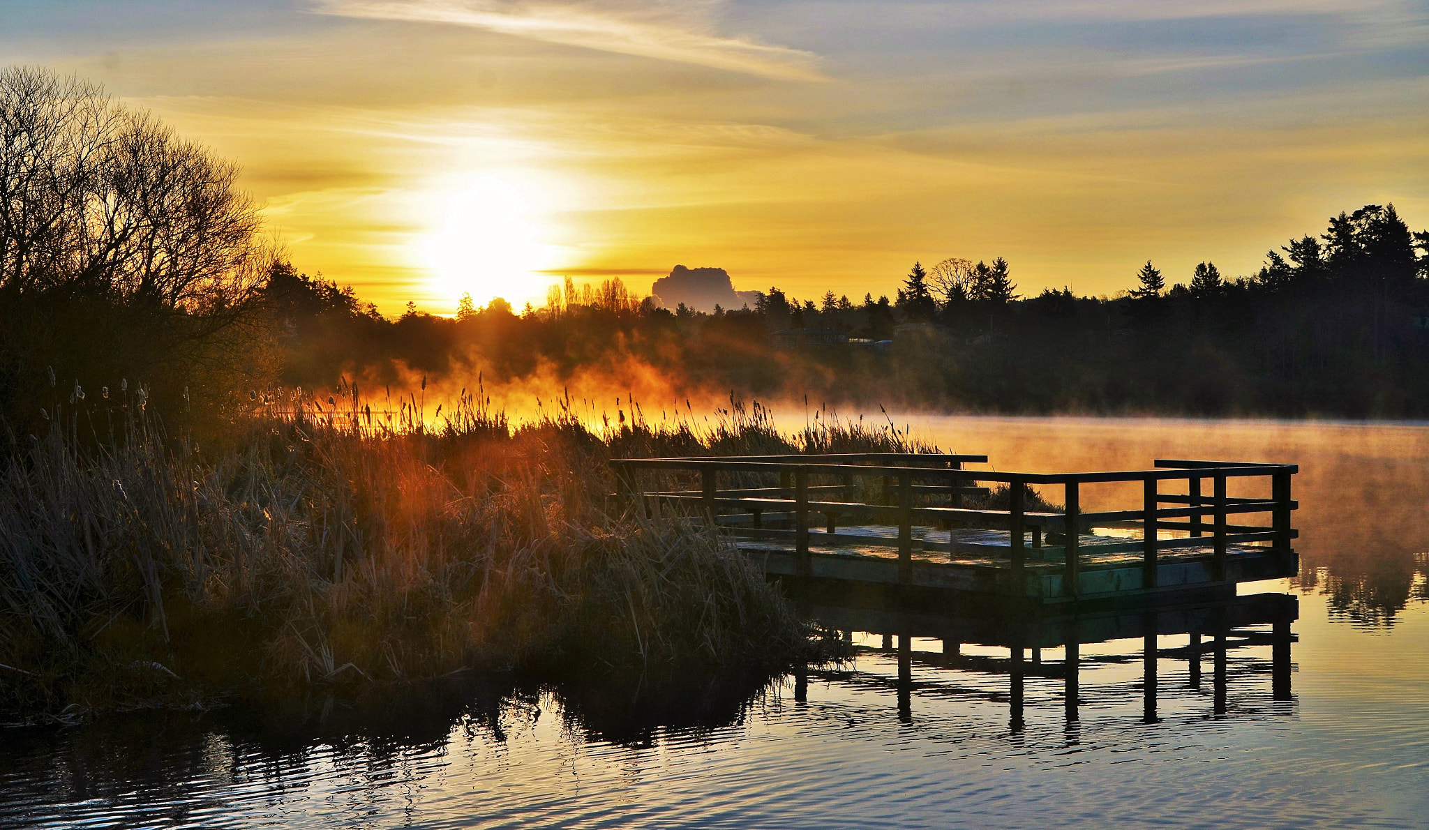 Nikon D7000 sample photo. Cold misty spring morning photography