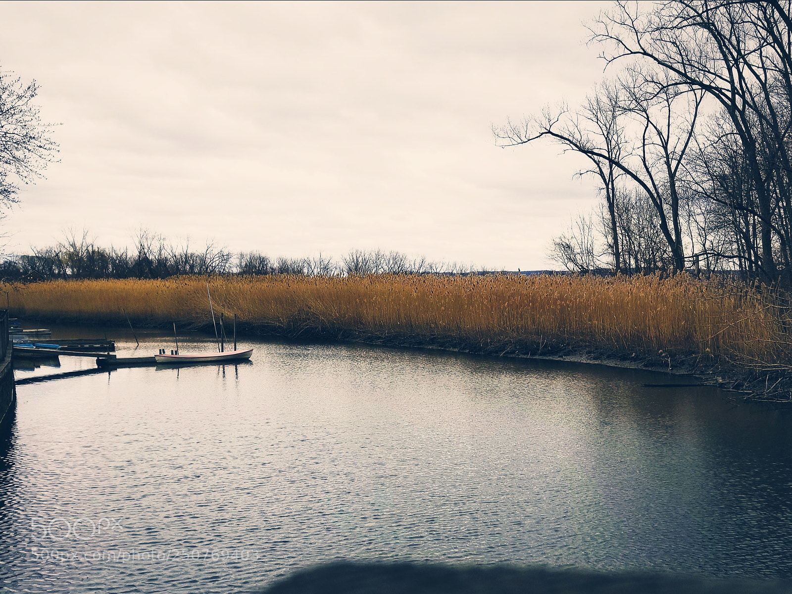 Samsung Galaxy S8 sample photo. Marsh in piermont, ny photography