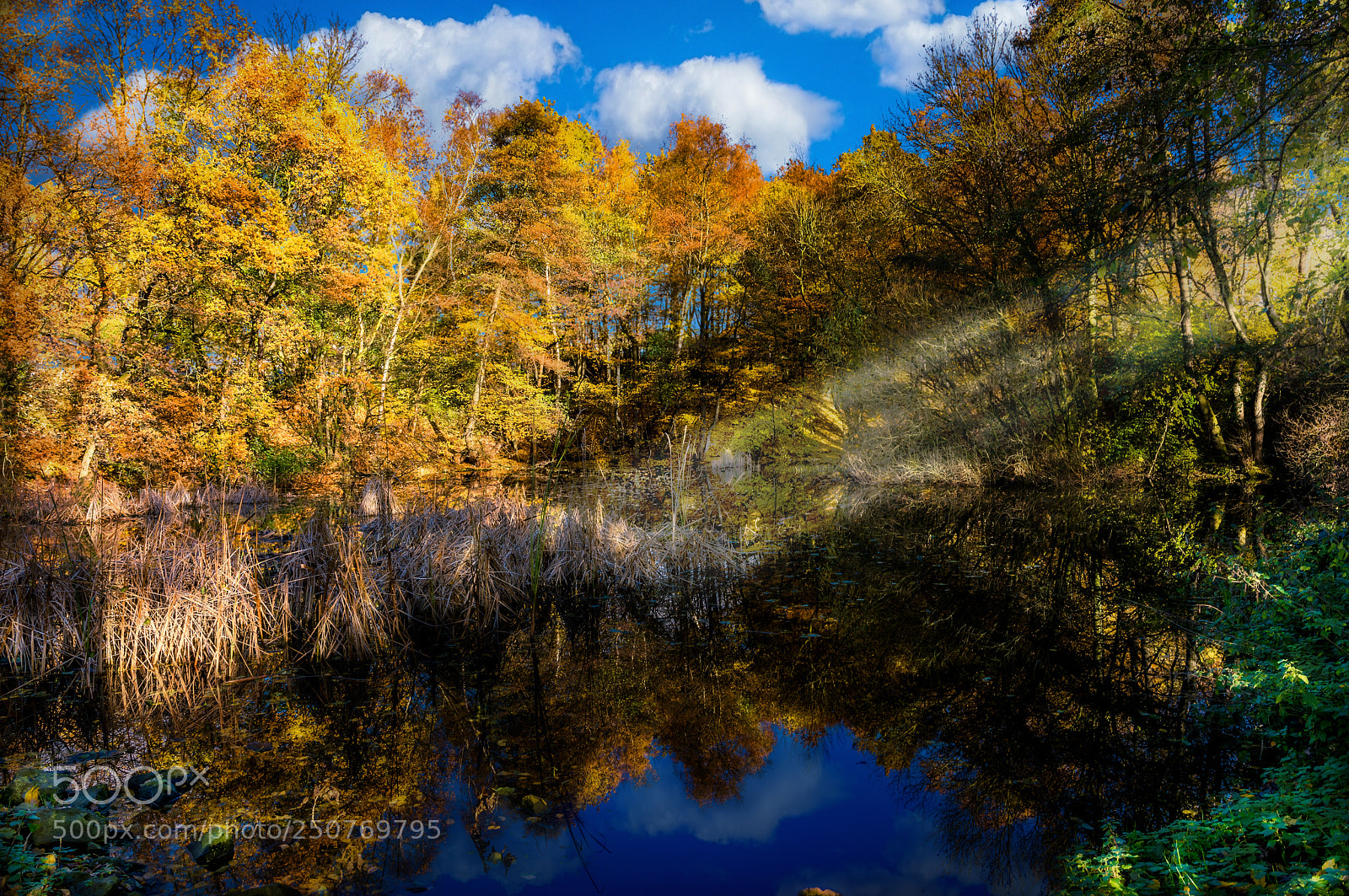 Canon EOS 5D Mark IV sample photo. Pond and sunshine photography