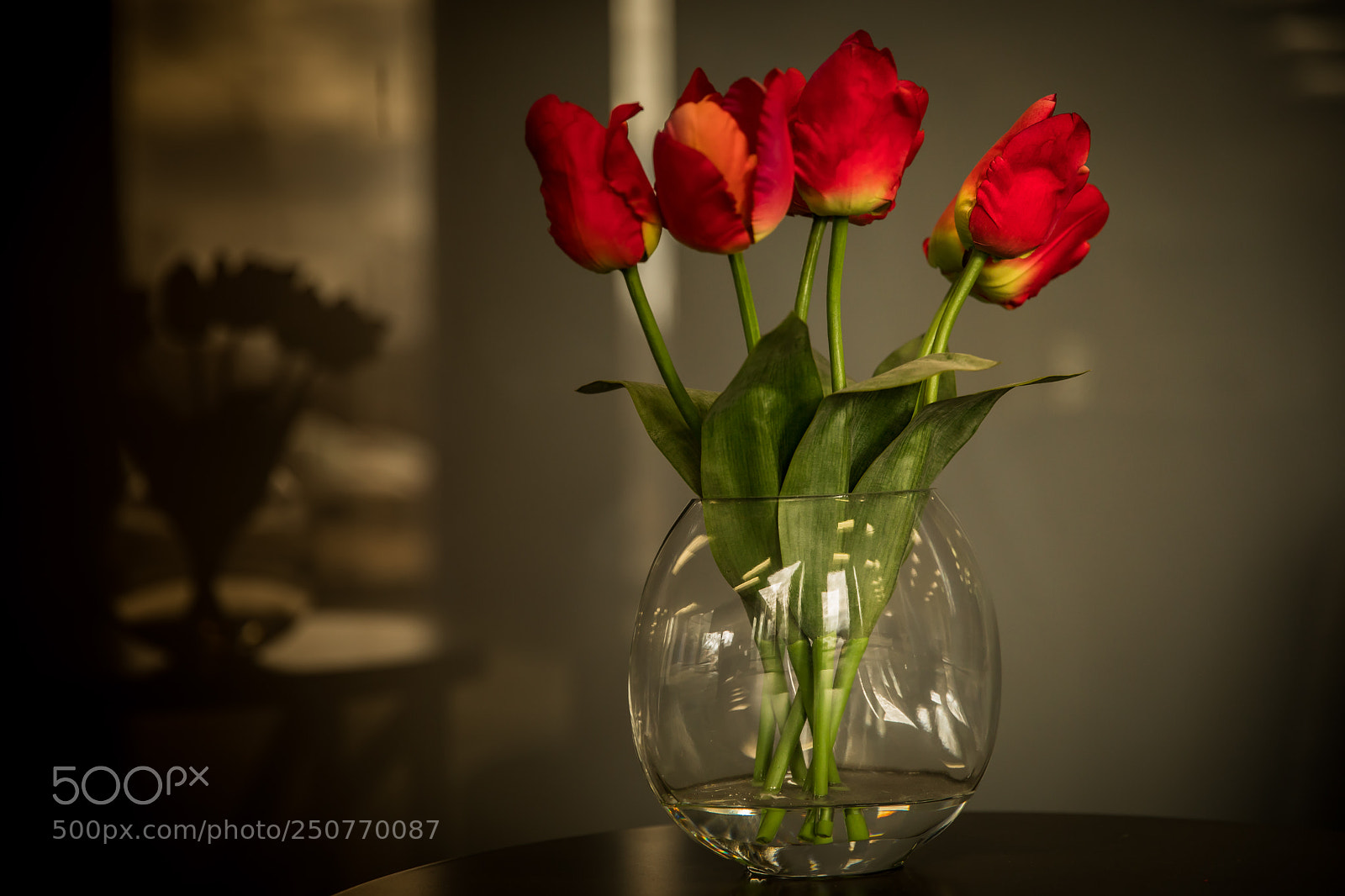 Canon EOS 5D Mark IV sample photo. Roses photography