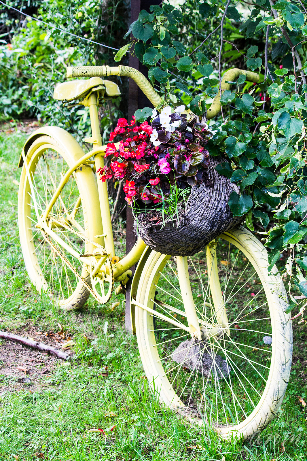 Canon EOS 1100D (EOS Rebel T3 / EOS Kiss X50) sample photo. Bike of flowers photography
