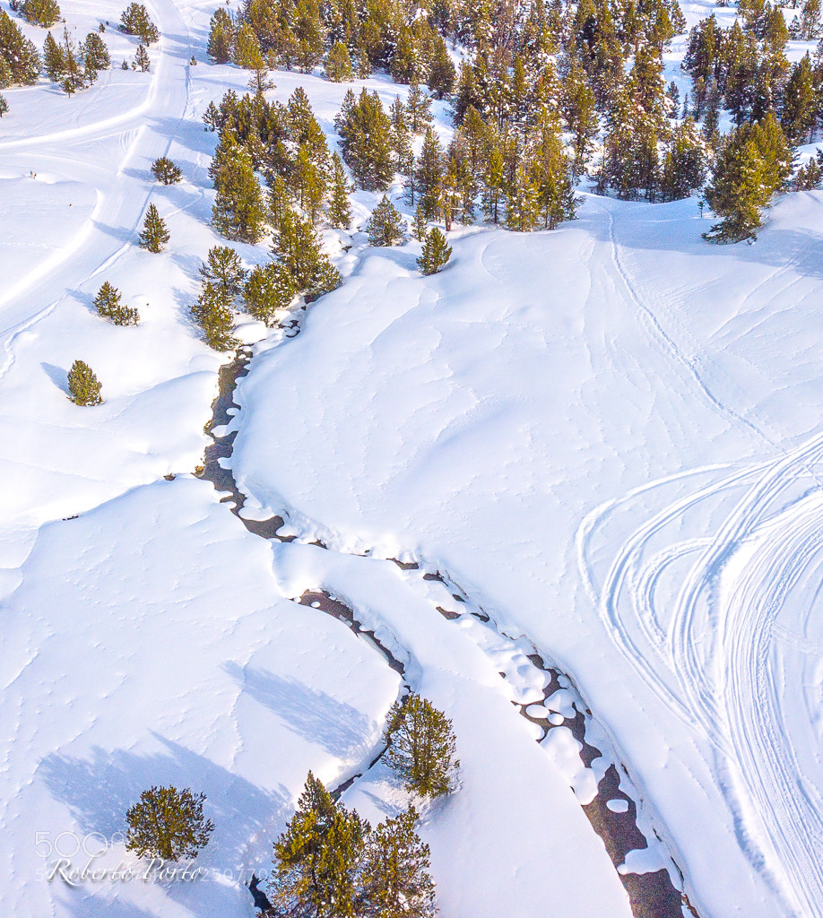 DJI FC220 sample photo. Perros y trineos photography