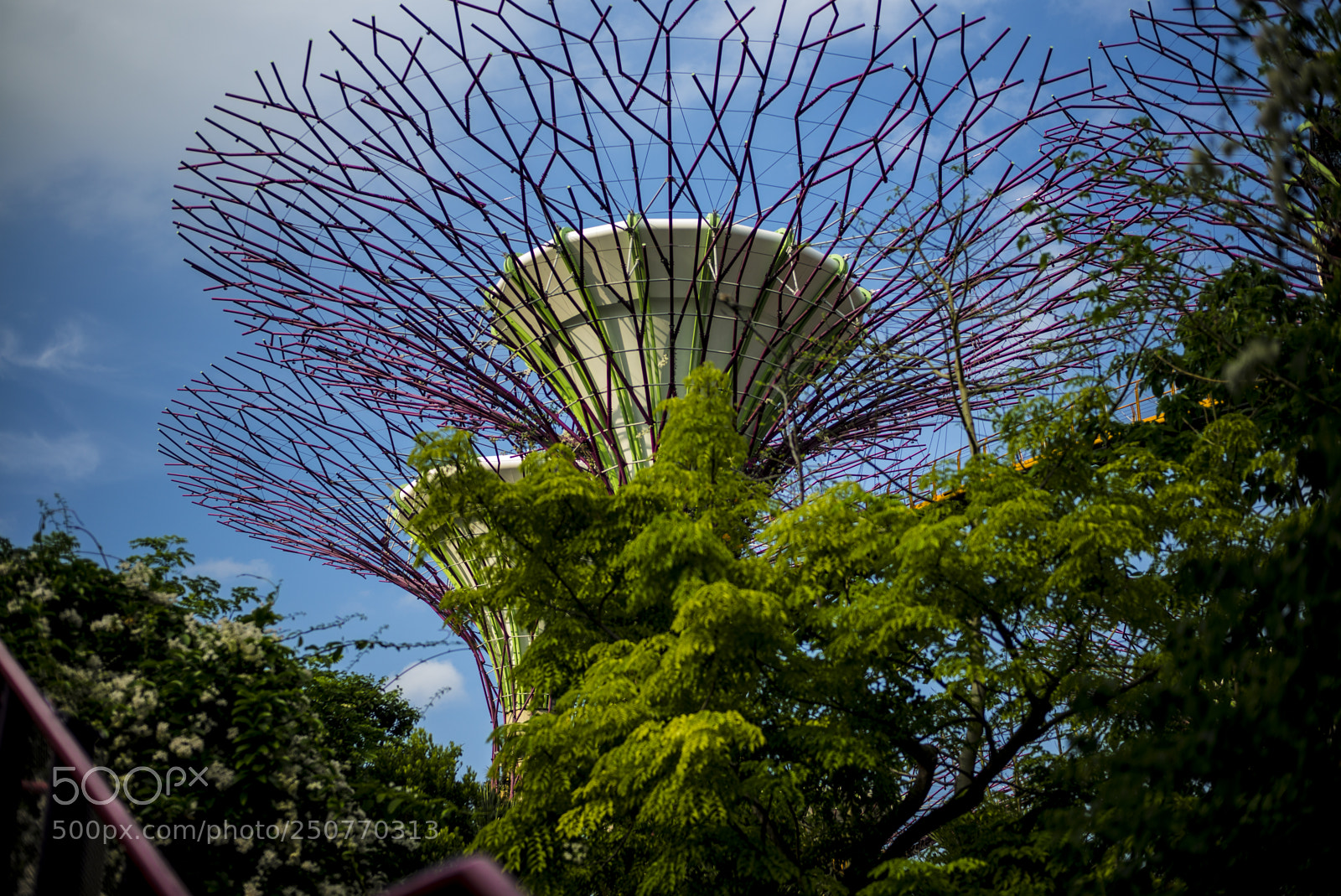 Leica M (Typ 240) sample photo. Singapore photography