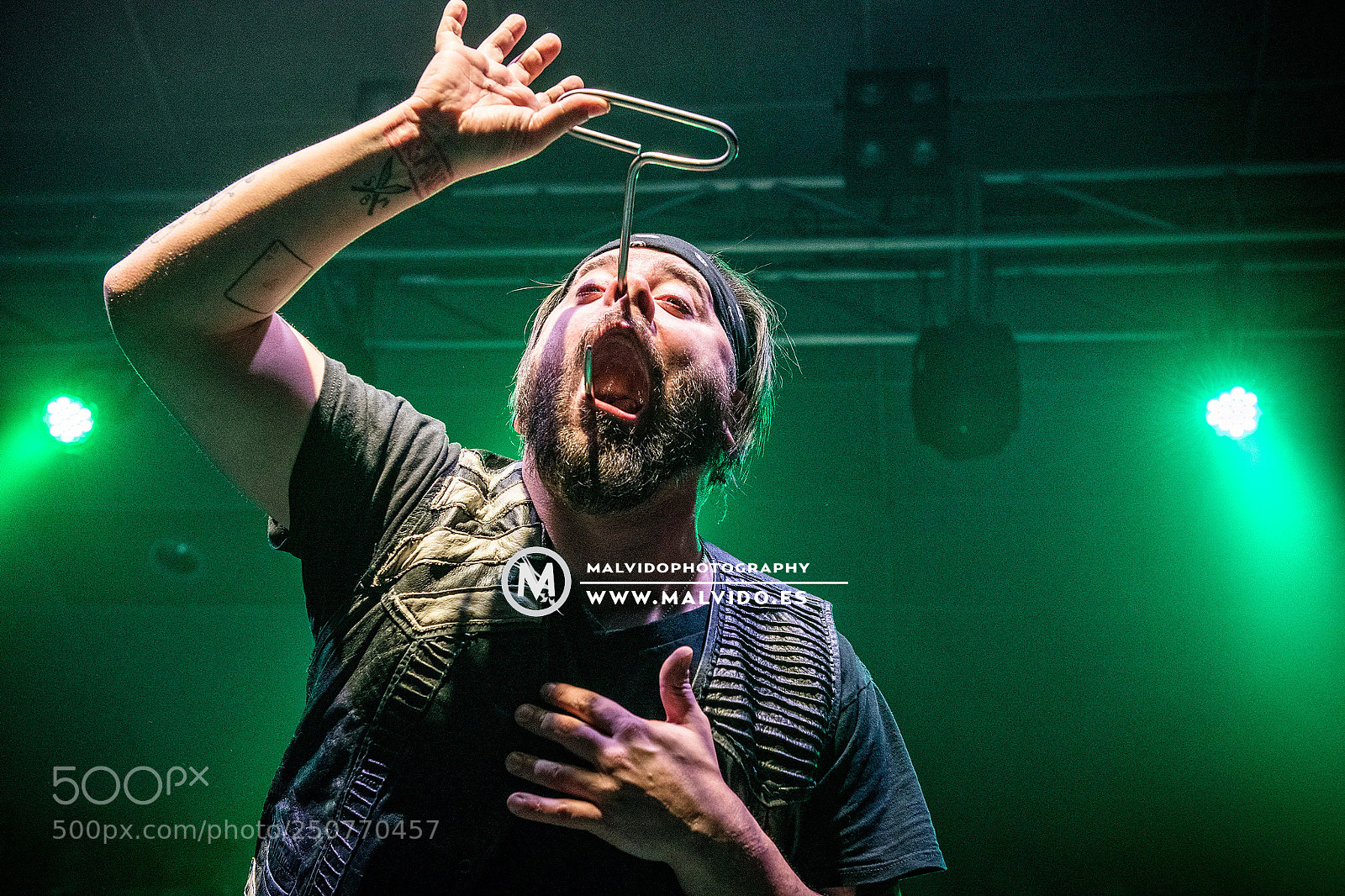 Nikon D850 sample photo. Hellzapoppin photography
