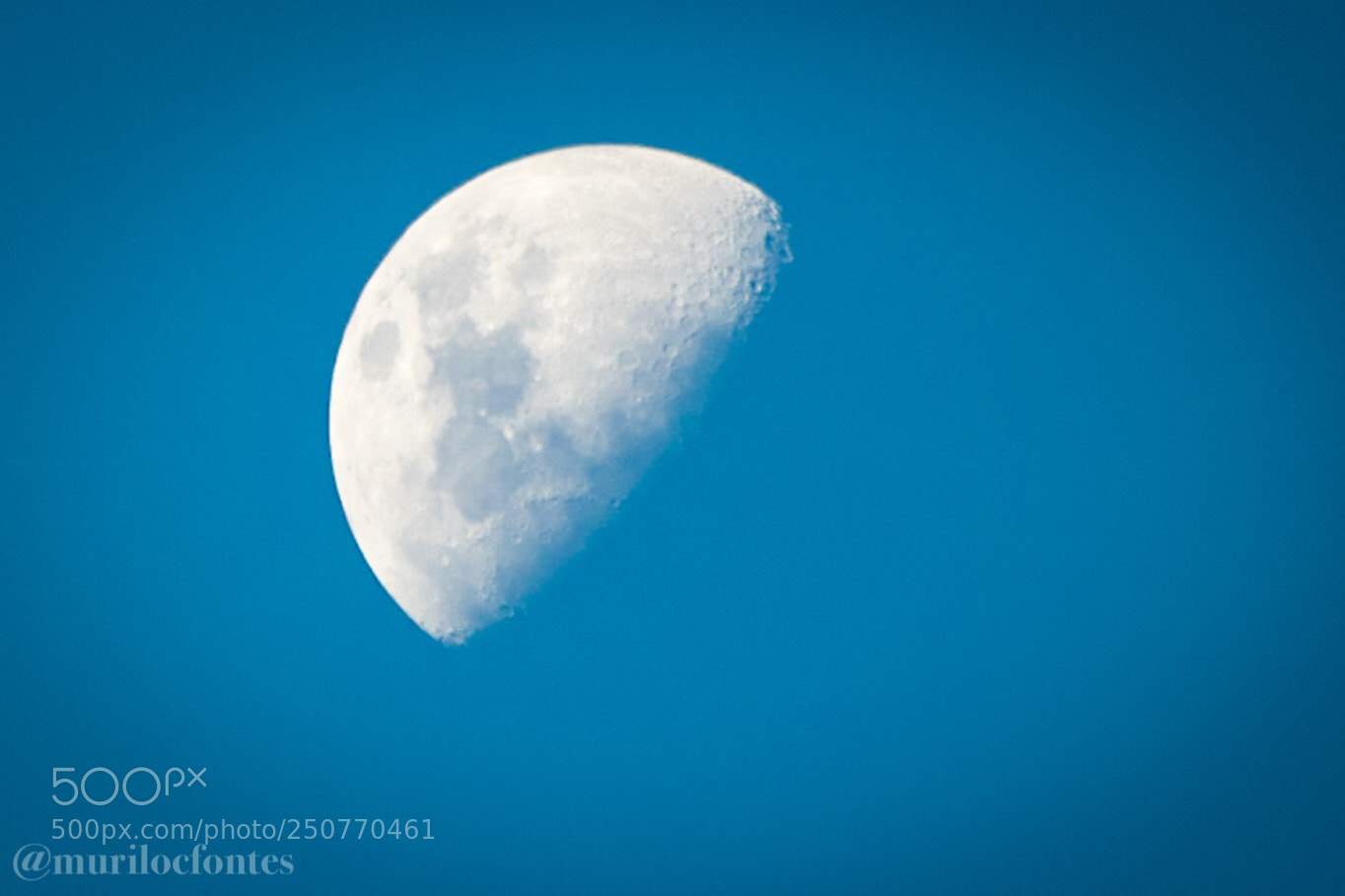Nikon D3100 sample photo. Untitled photography
