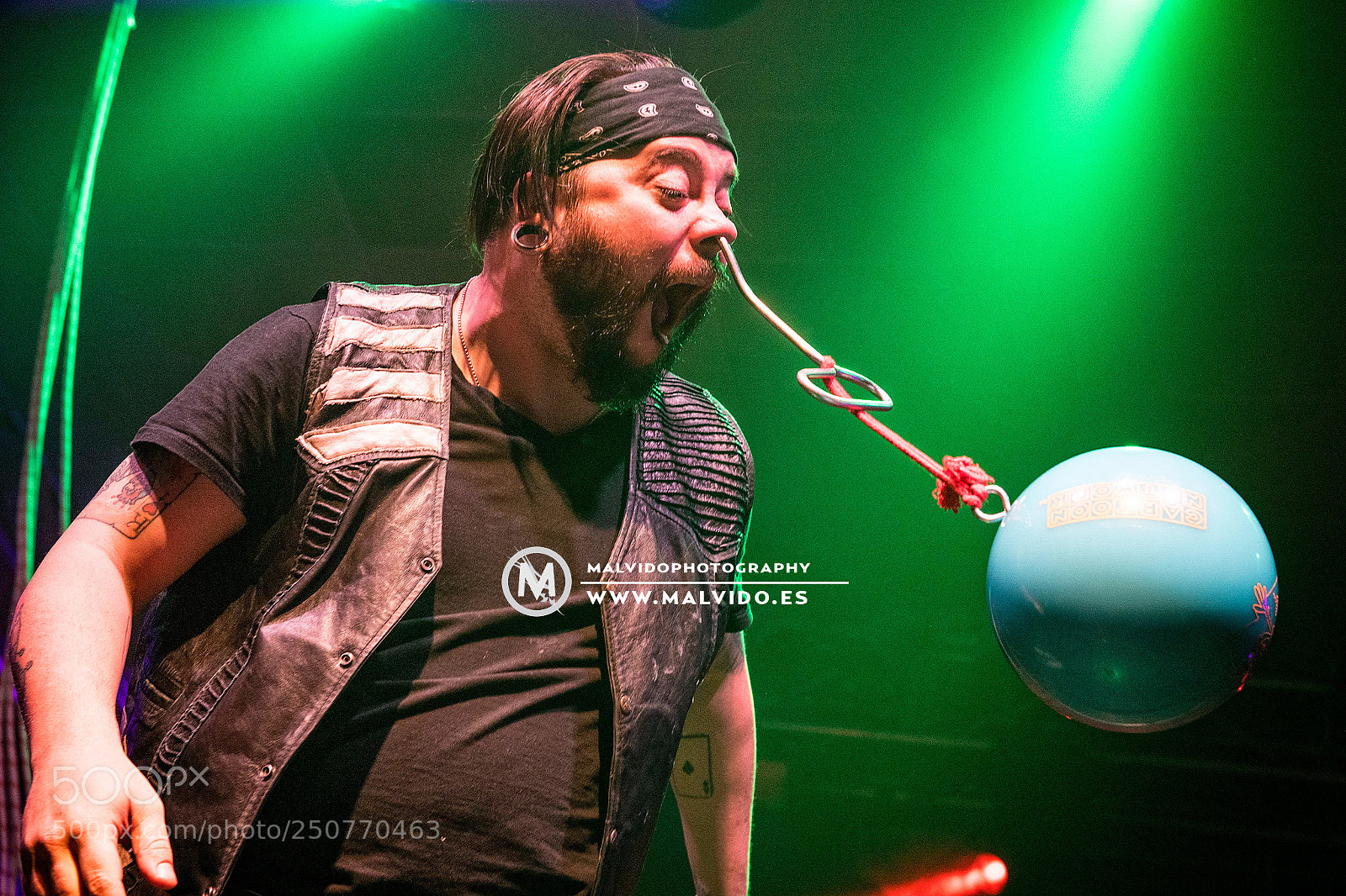 Nikon D850 sample photo. Hellzapoppin photography