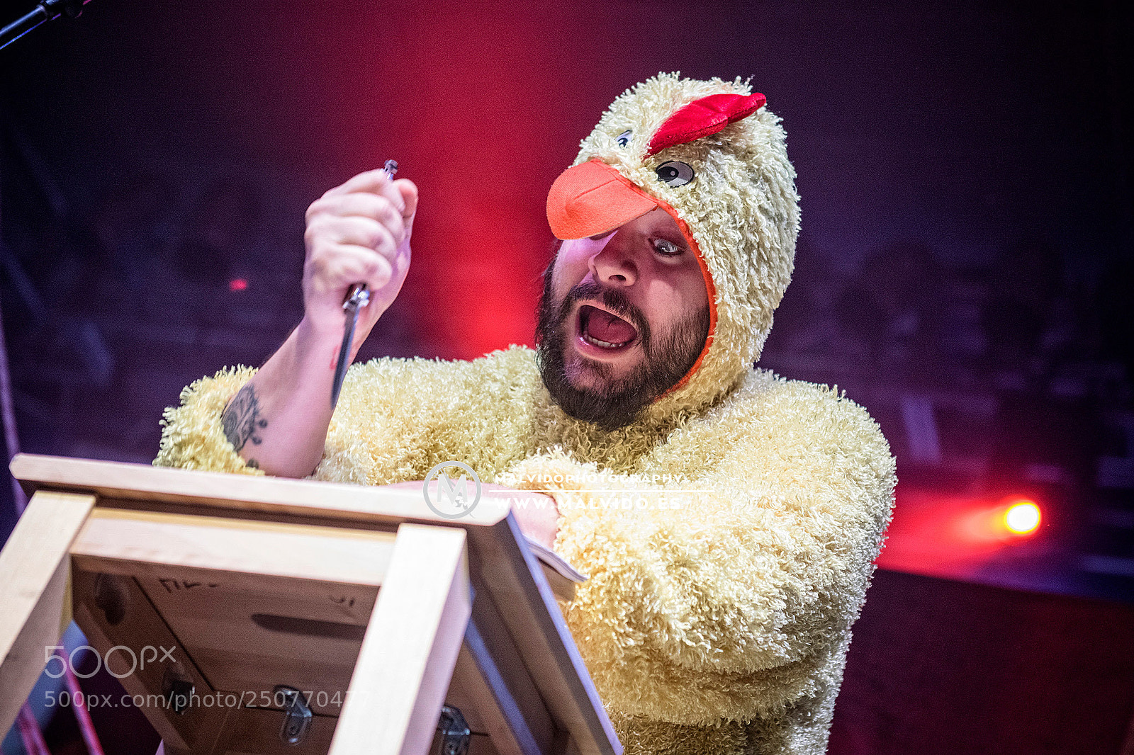 Nikon D850 sample photo. Hellzapoppin photography