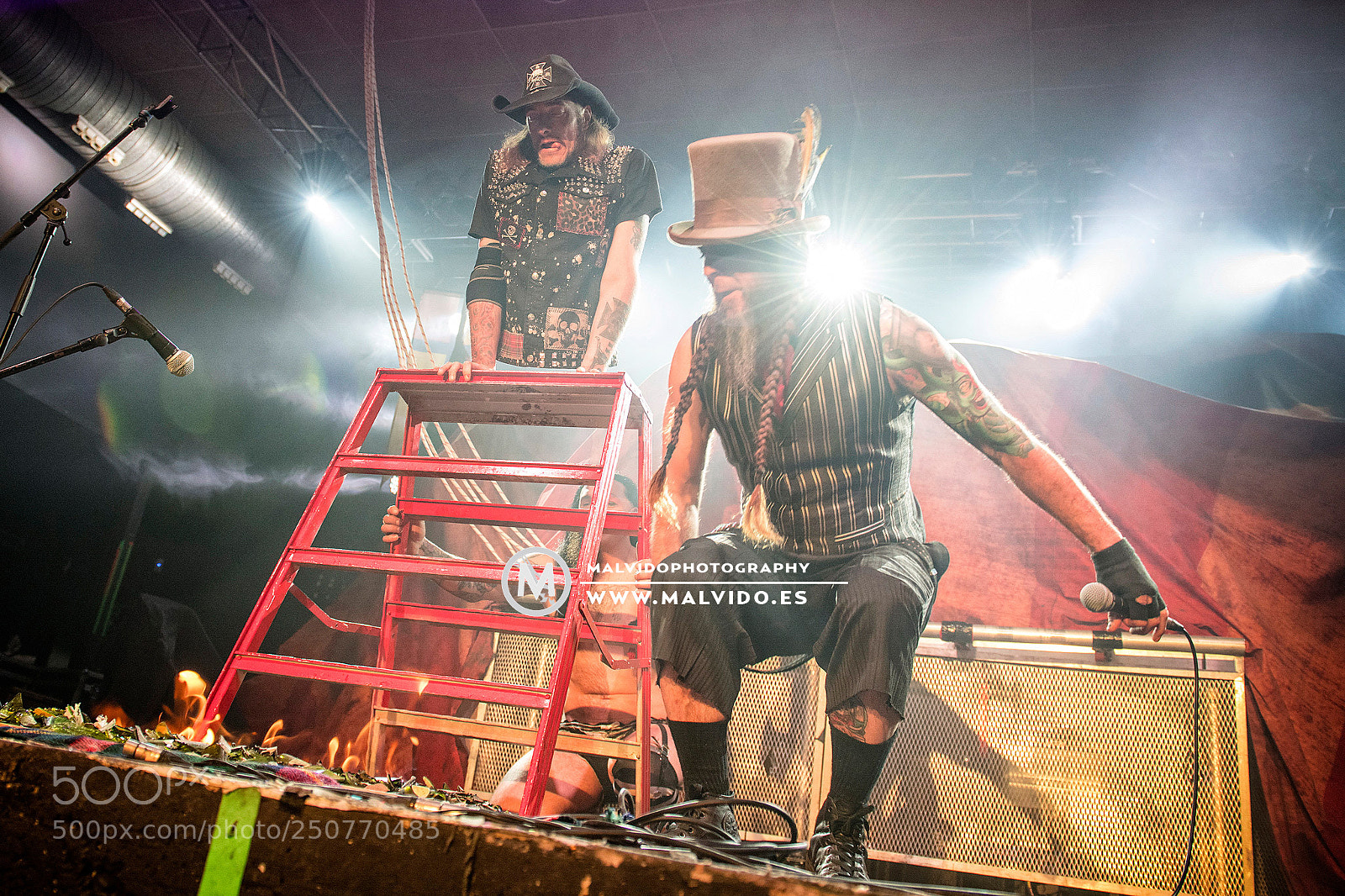 Nikon D850 sample photo. Hellzapoppin photography