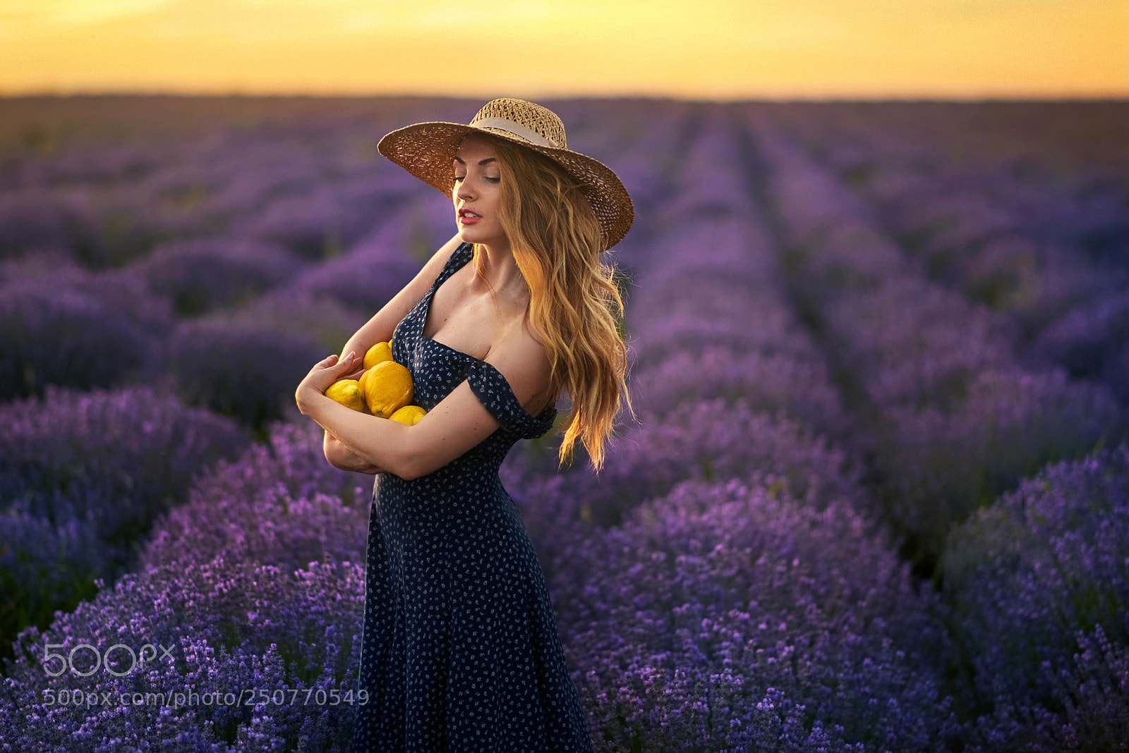 Nikon D610 sample photo. Lavender story photography