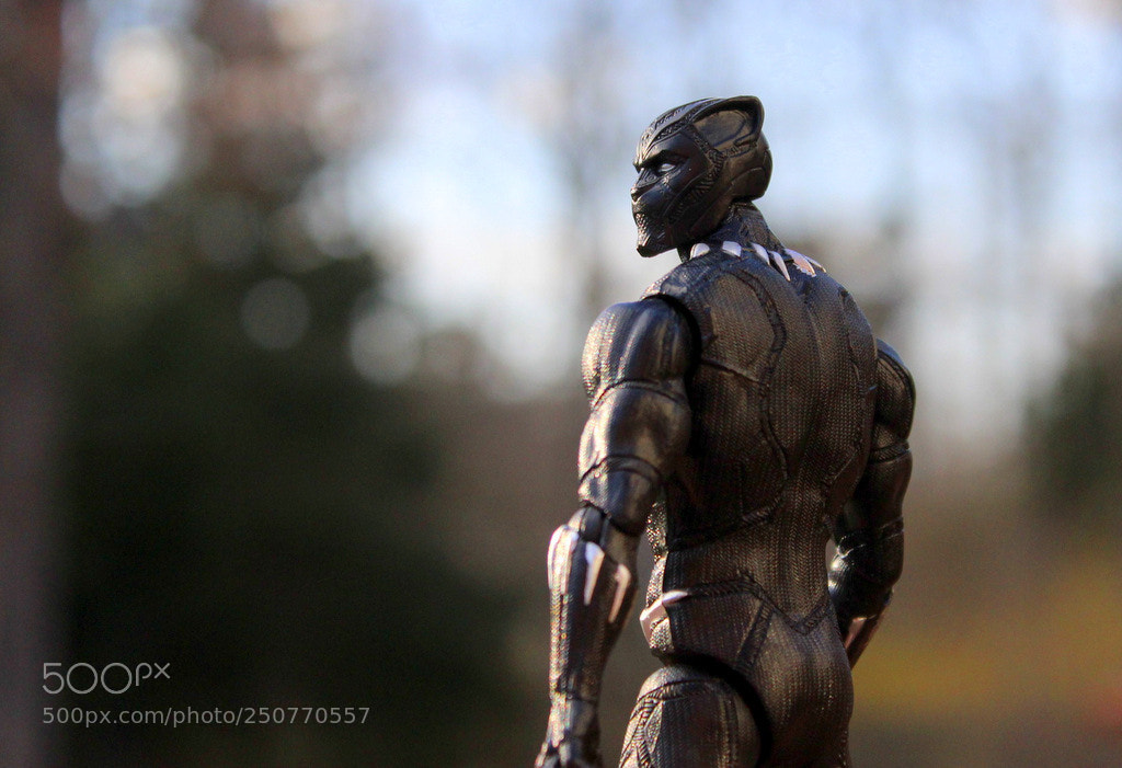 Canon EOS 1200D (EOS Rebel T5 / EOS Kiss X70 / EOS Hi) sample photo. Black panther photography
