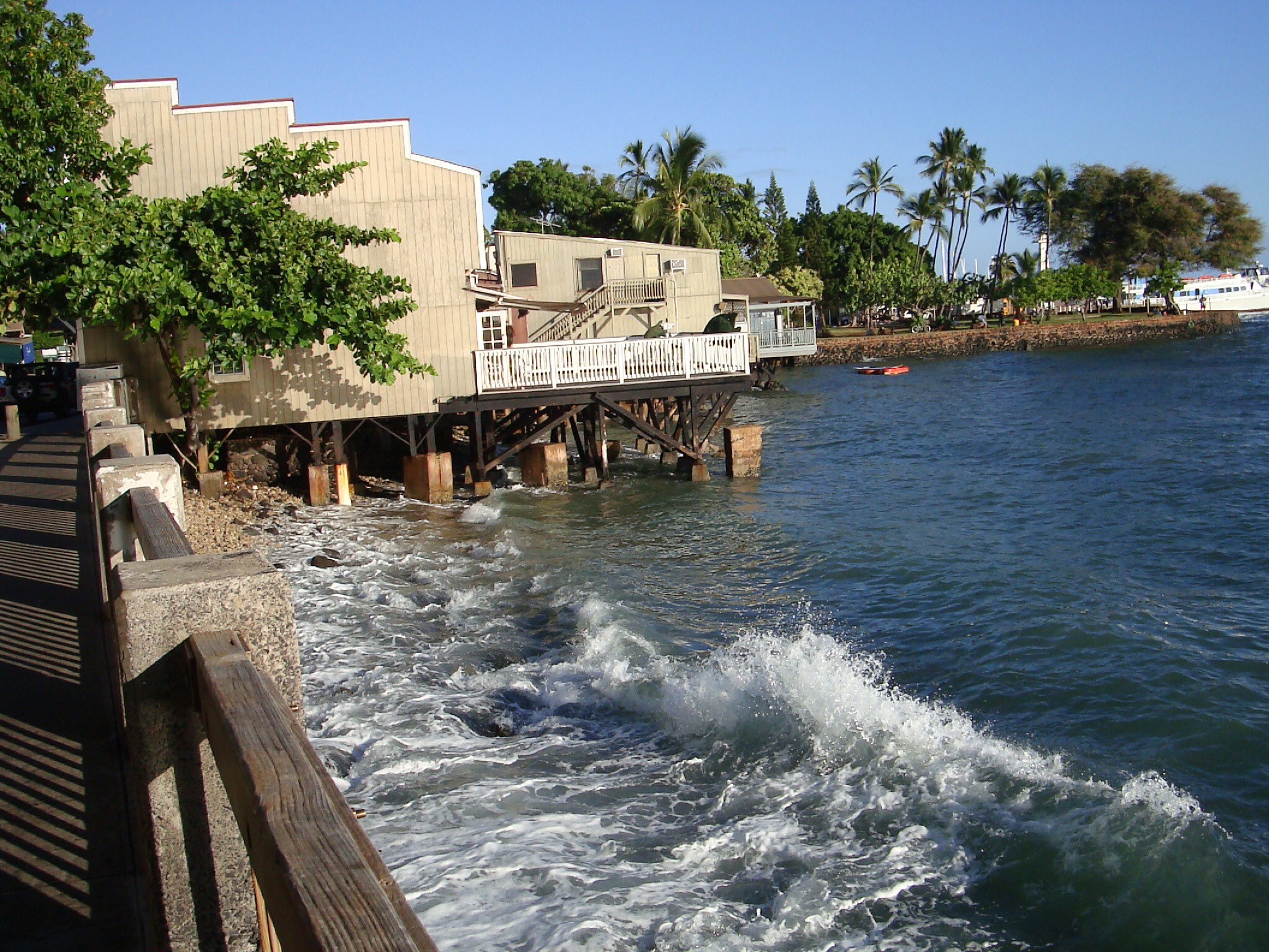 Sony Cyber-shot DSC-W300 sample photo. Maui- shoreline/ commercial district photography