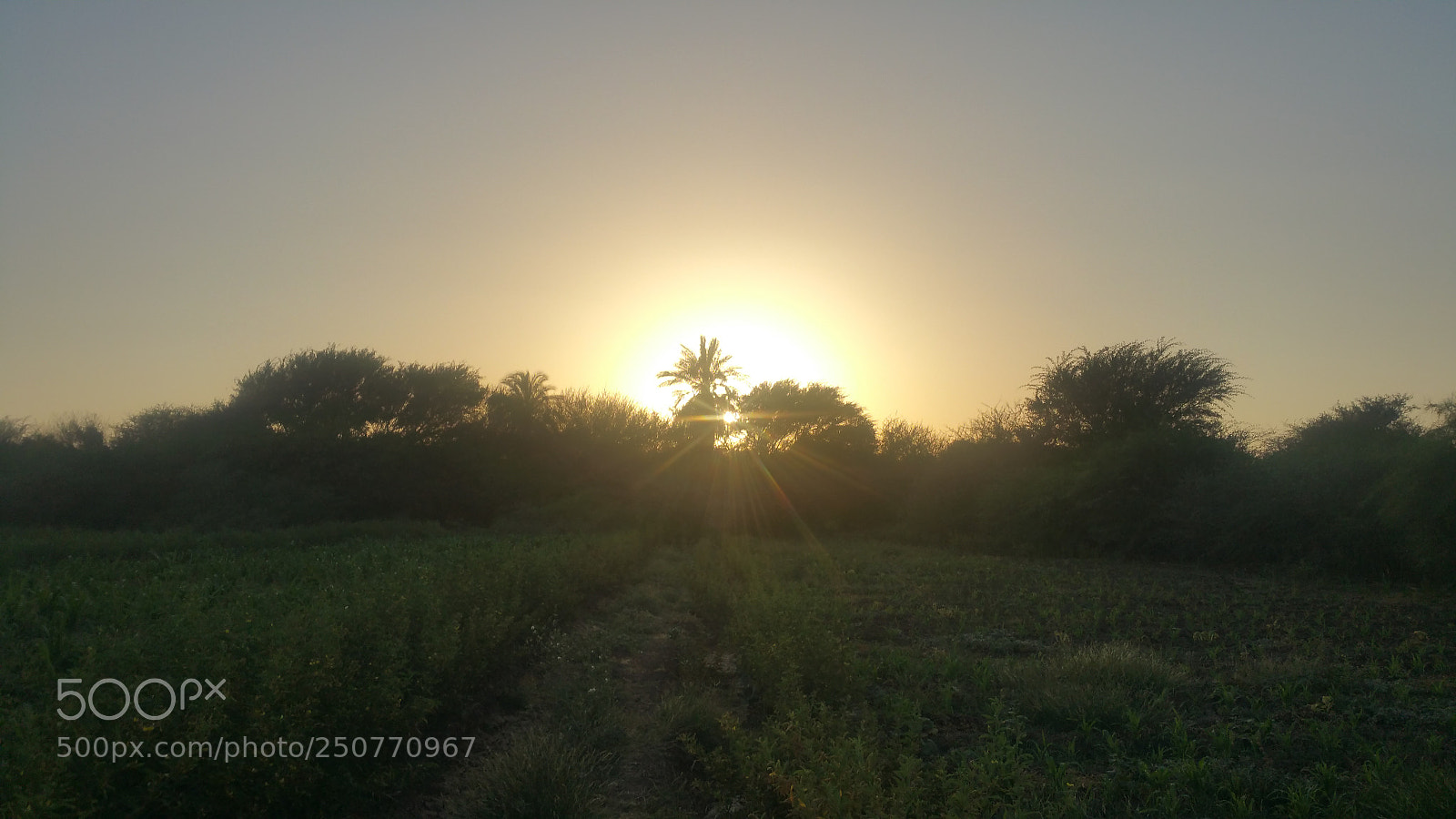 Samsung Galaxy Note4 sample photo. Sunset photography
