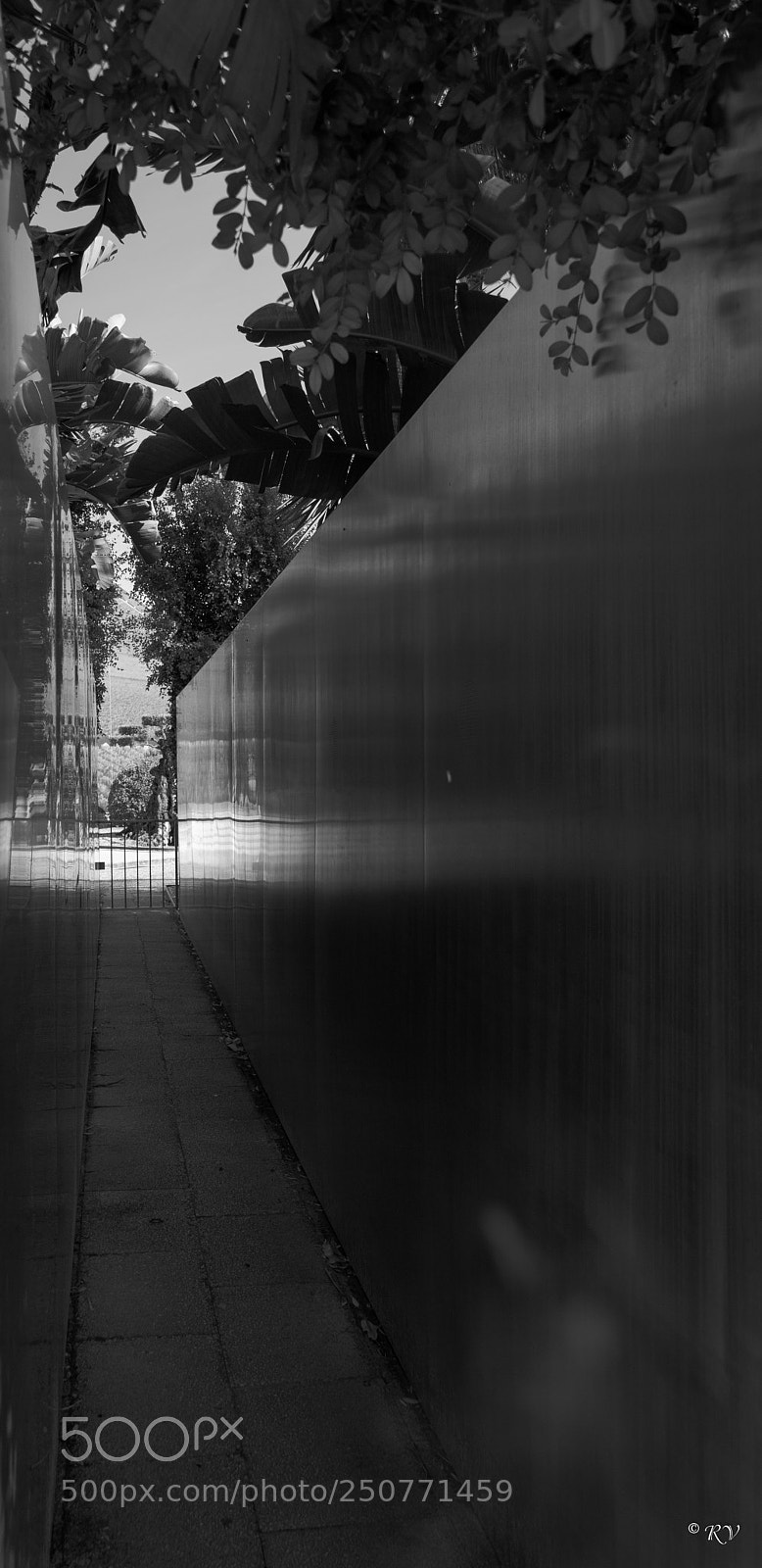 Nikon D7100 sample photo. Black and white photography