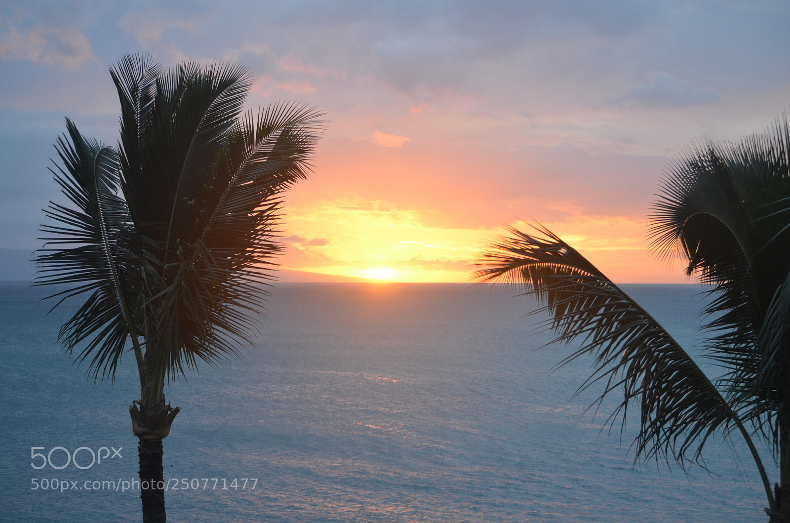 Nikon D5100 sample photo. Maui sunset photography