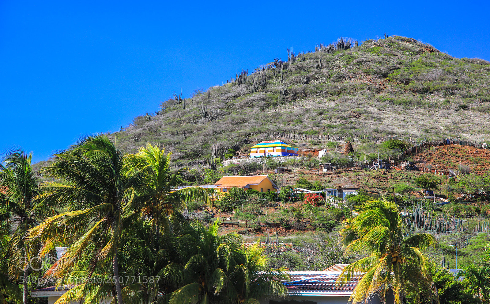 Canon EOS 5D Mark IV sample photo. Curacao 30 photography