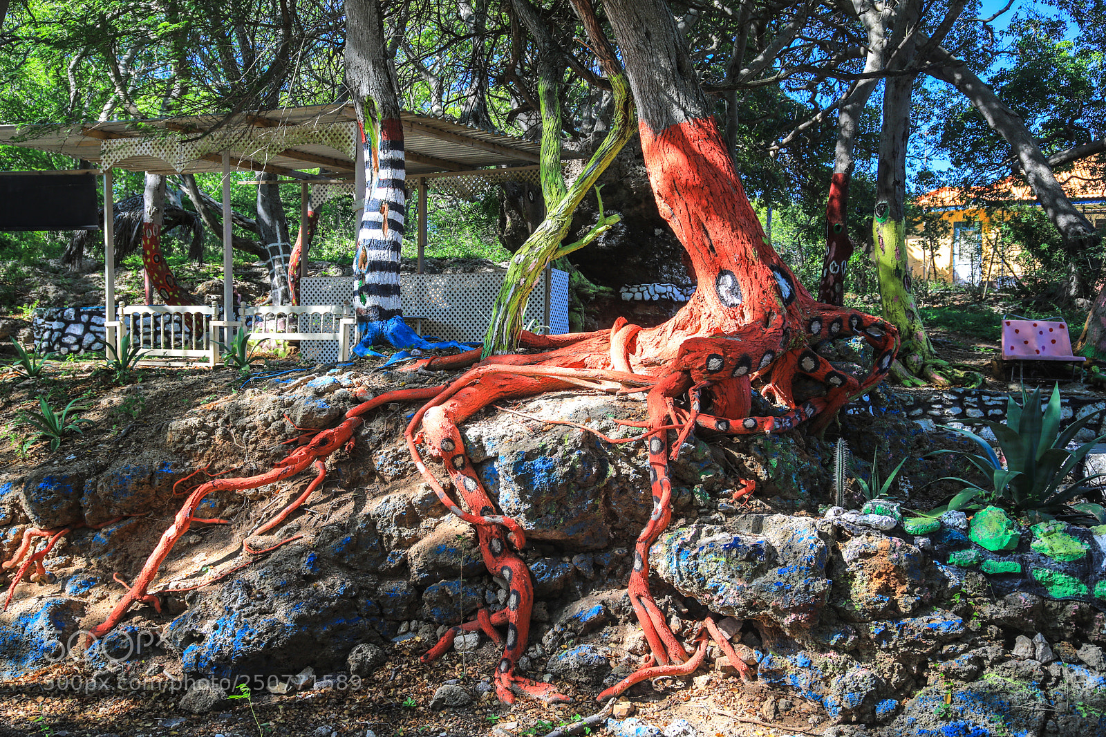 Canon EOS 5D Mark IV sample photo. Curacao 31 photography