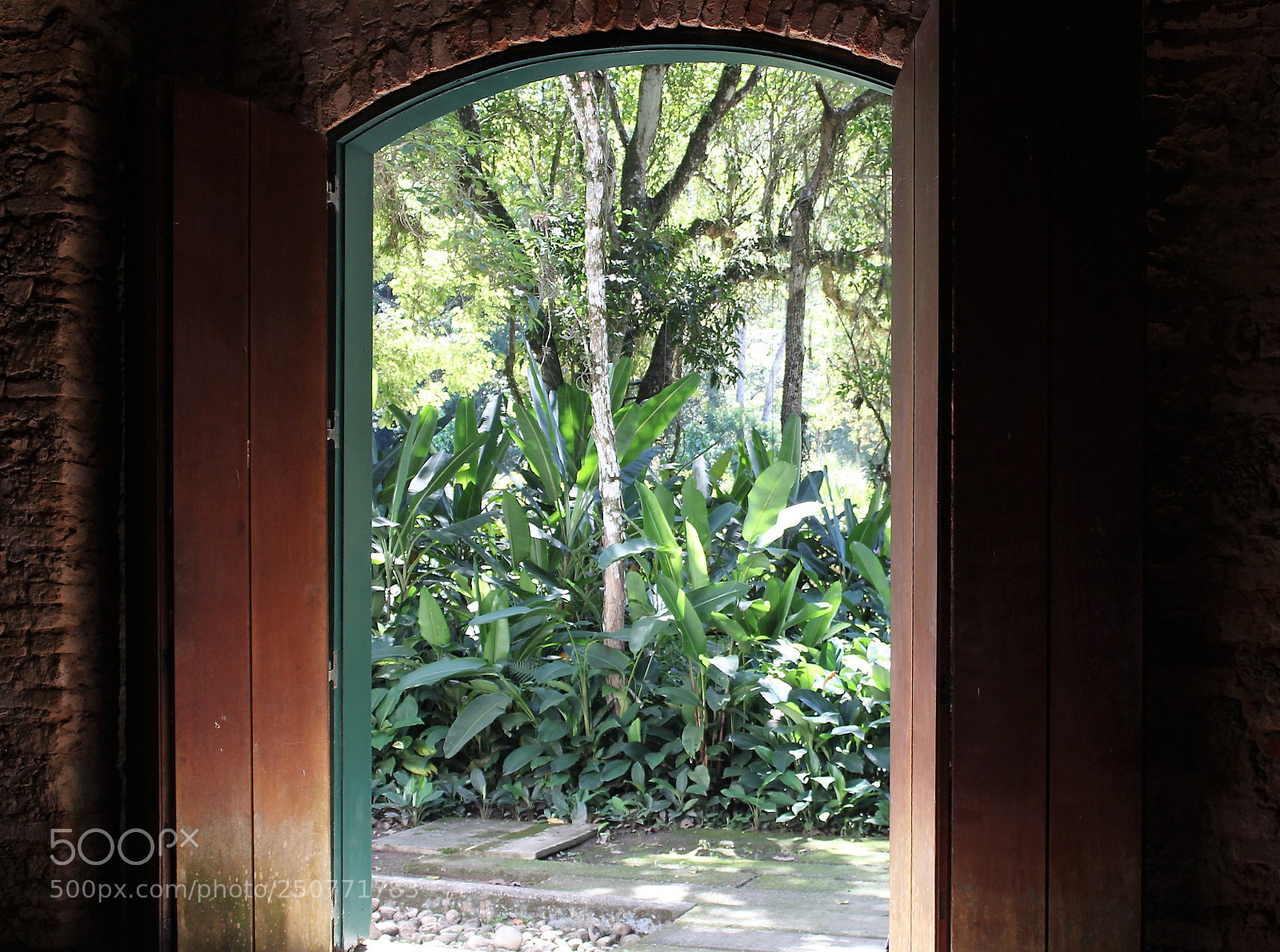 Canon EOS 1300D (EOS Rebel T6 / EOS Kiss X80) sample photo. Open your doors to photography