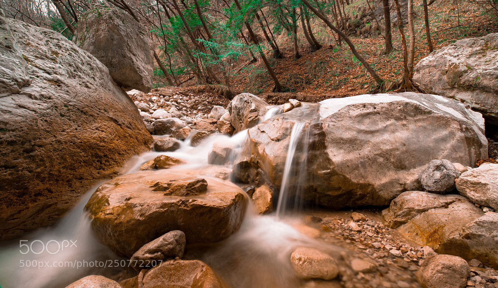 Nikon D810 sample photo. Cinghen photography