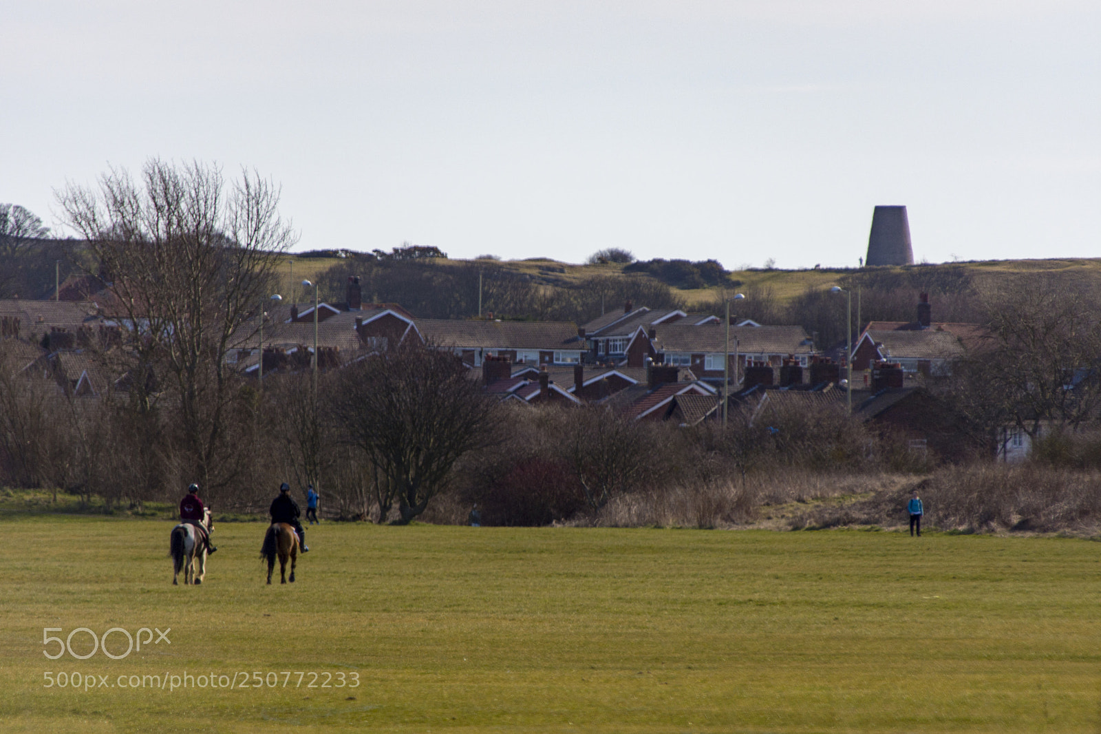 Nikon D7200 sample photo. A leisurely ride  photography