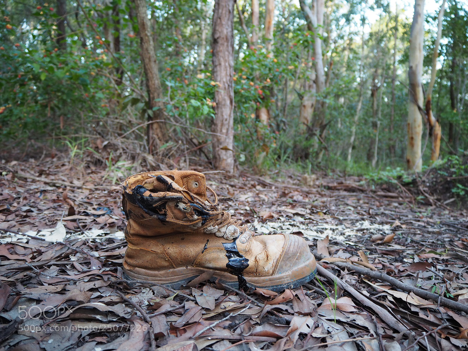 Olympus OM-D E-M10 II sample photo. Abandoned boot photography
