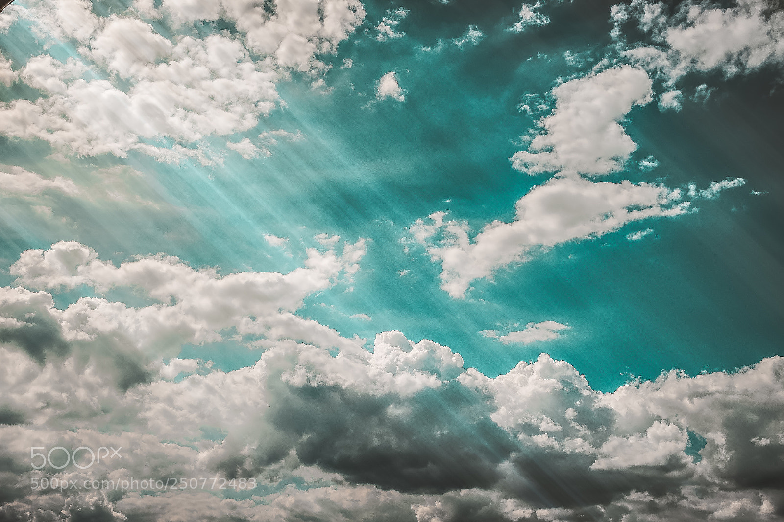 Canon EOS 700D (EOS Rebel T5i / EOS Kiss X7i) sample photo. A guiding light photography