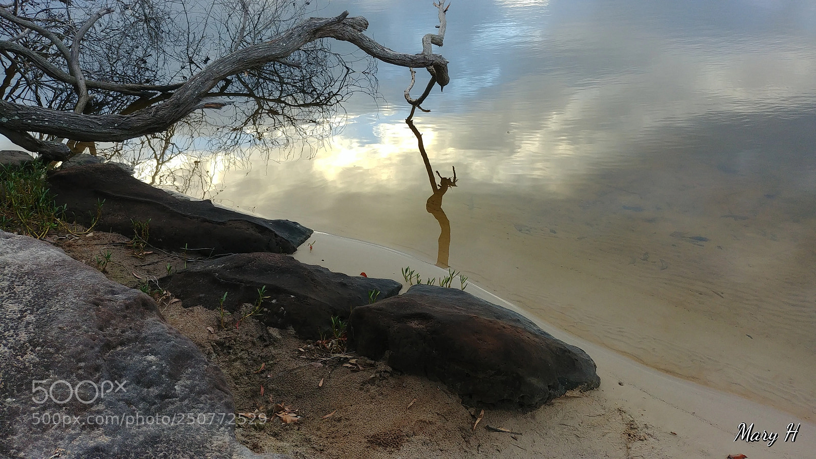 LG G6 sample photo. Lake reflection photography