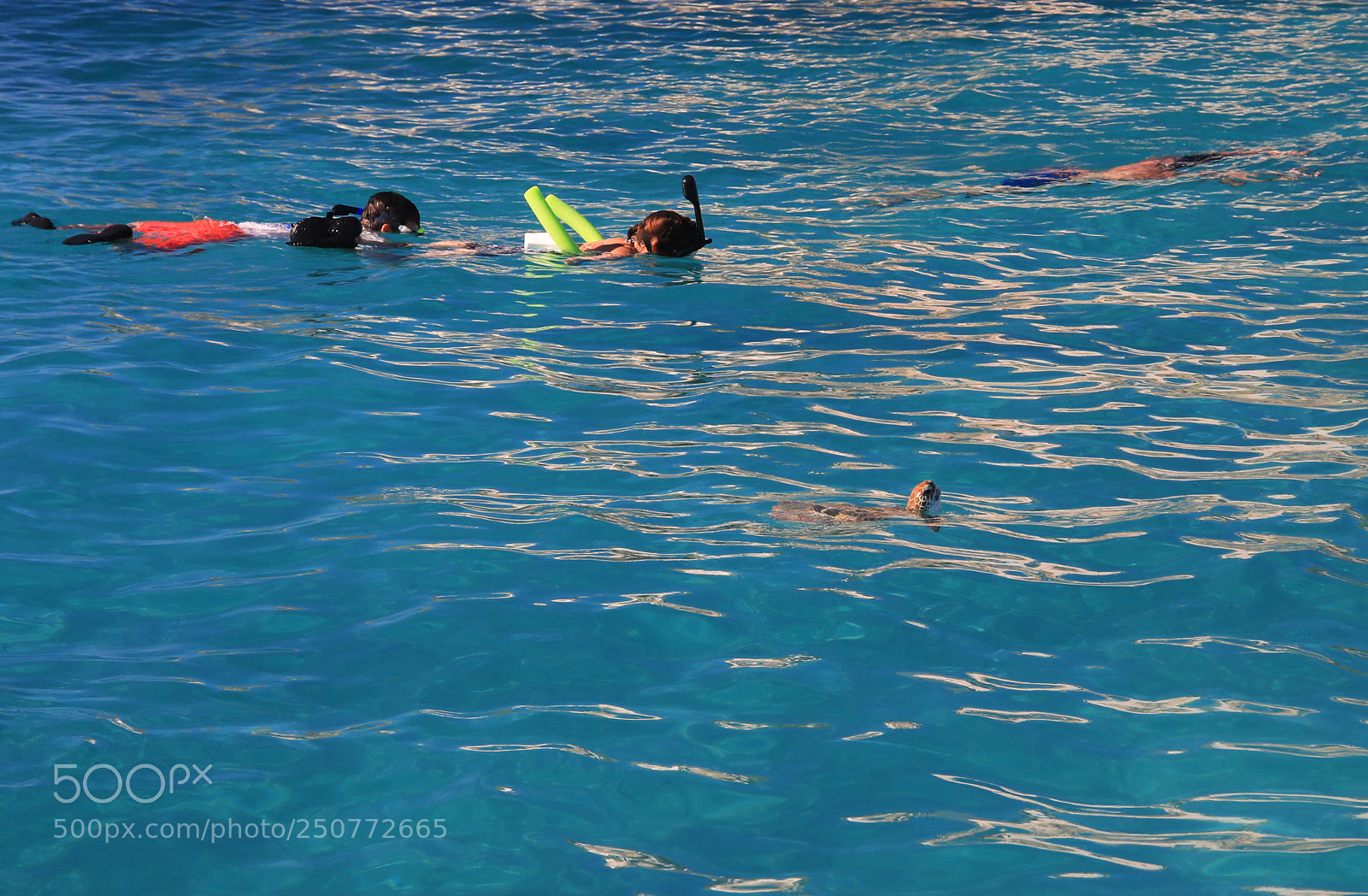 Canon EOS 5D Mark IV sample photo. Curacao 35 photography