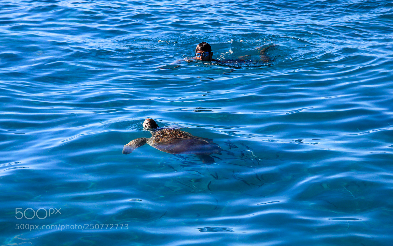 Canon EOS 5D Mark IV sample photo. Curacao 36 photography